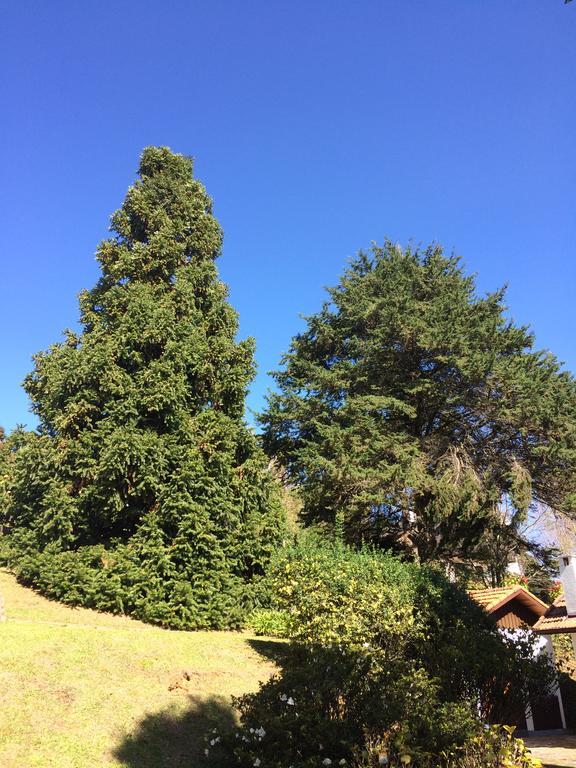 Chale Aconchegante Villa Monte Verde  Bagian luar foto