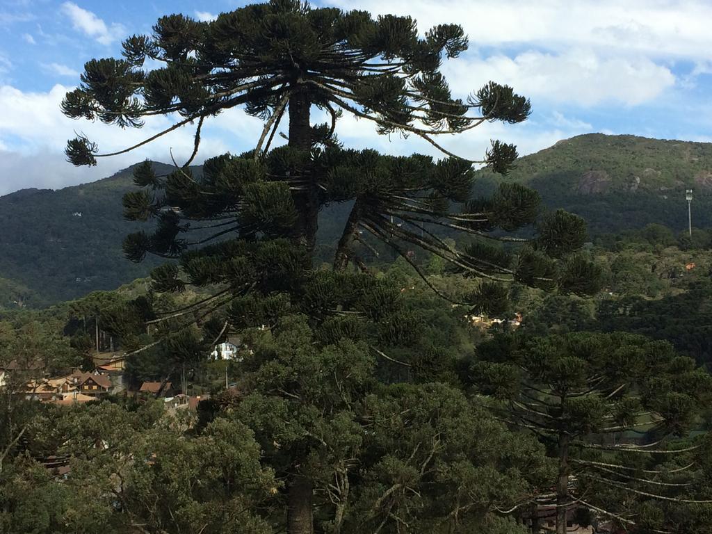 Chale Aconchegante Villa Monte Verde  Bagian luar foto