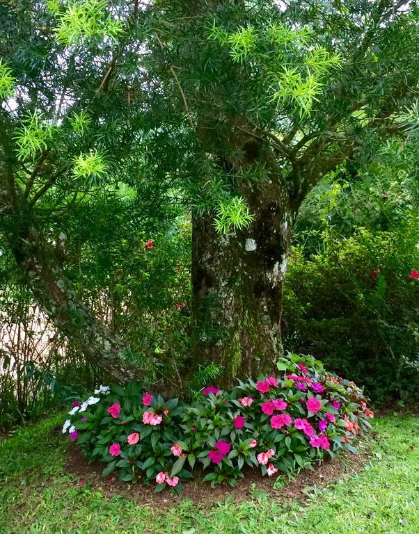 Chale Aconchegante Villa Monte Verde  Bagian luar foto